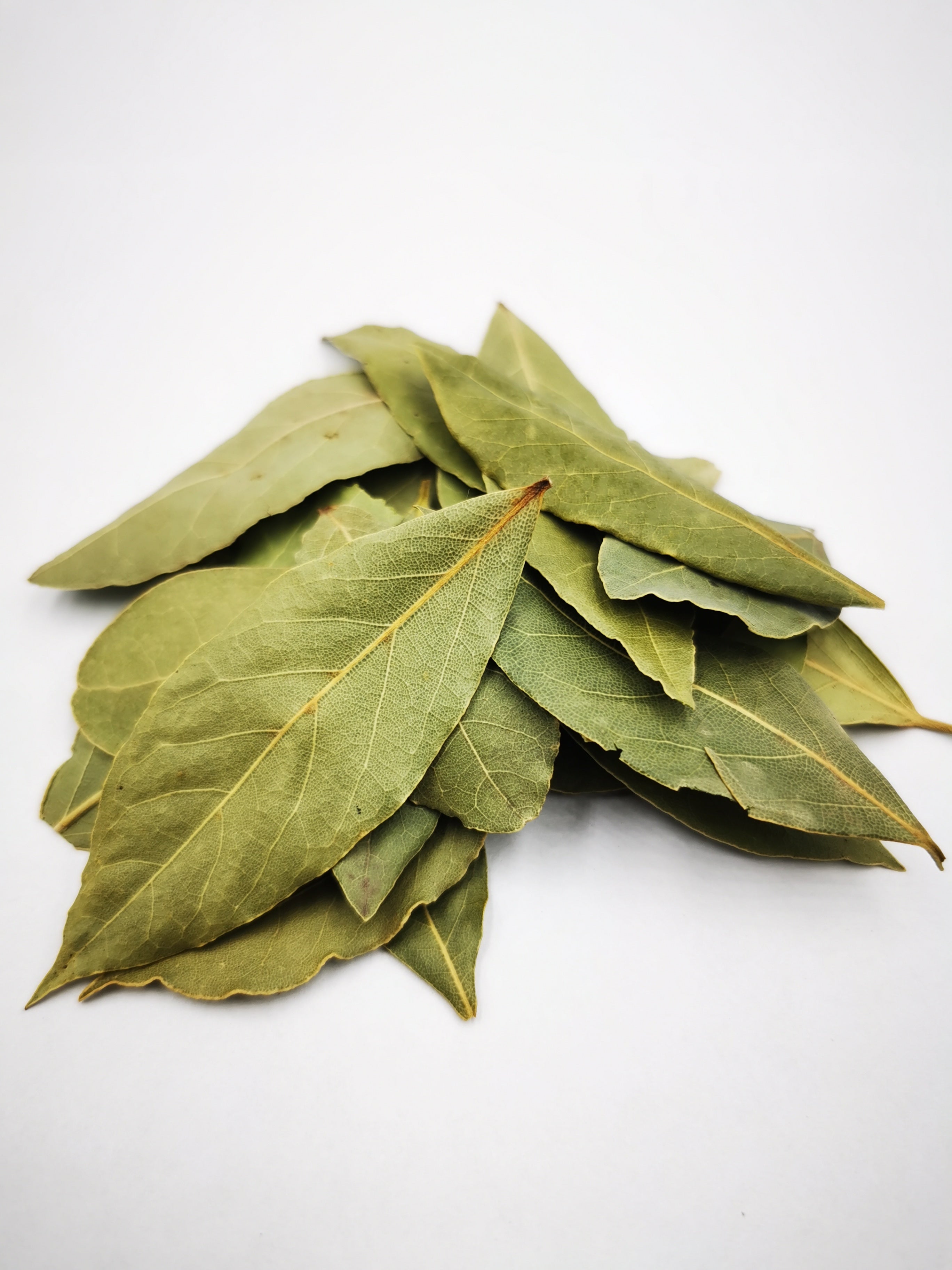 Bay leaf