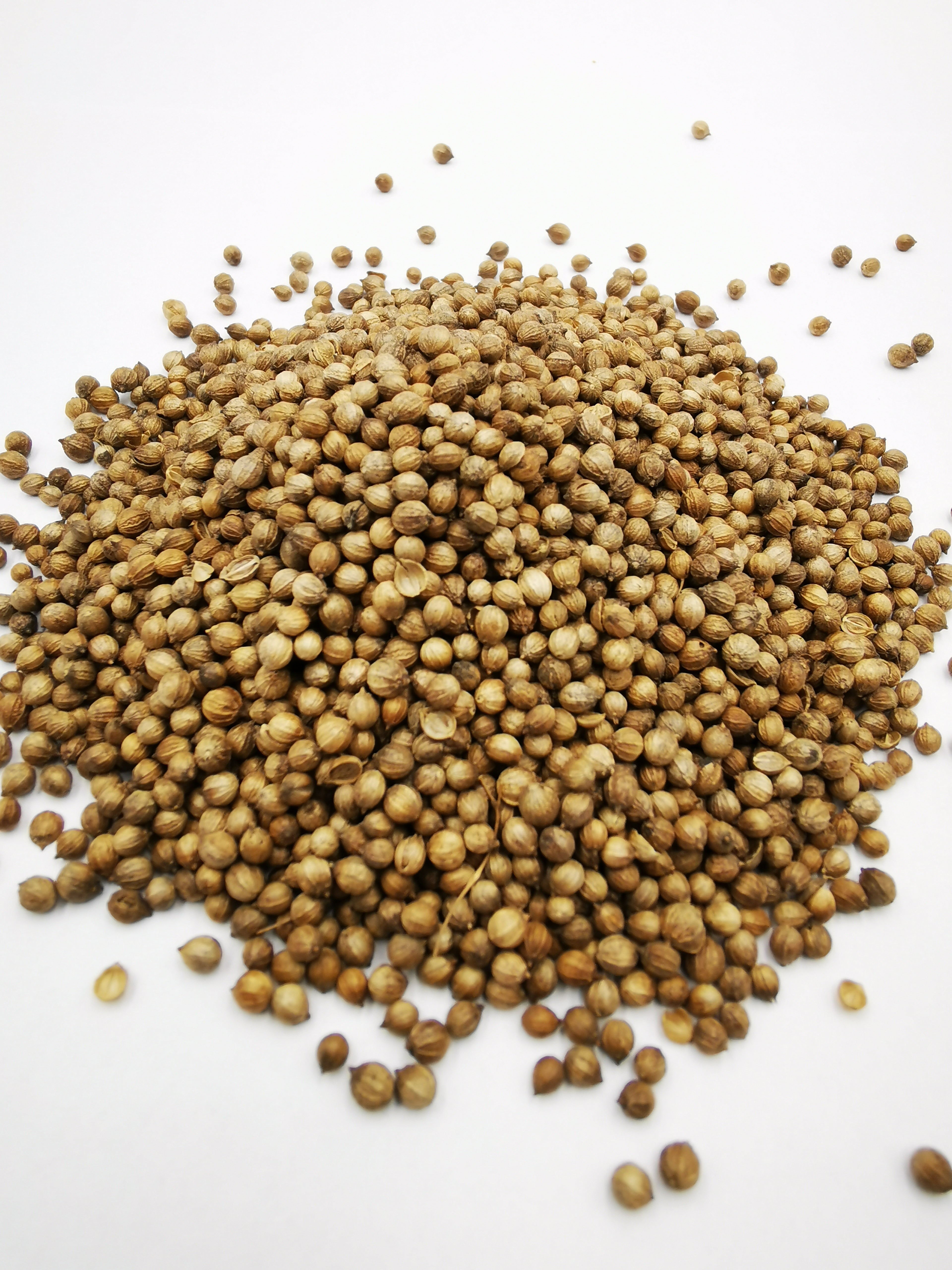 Coriander grains